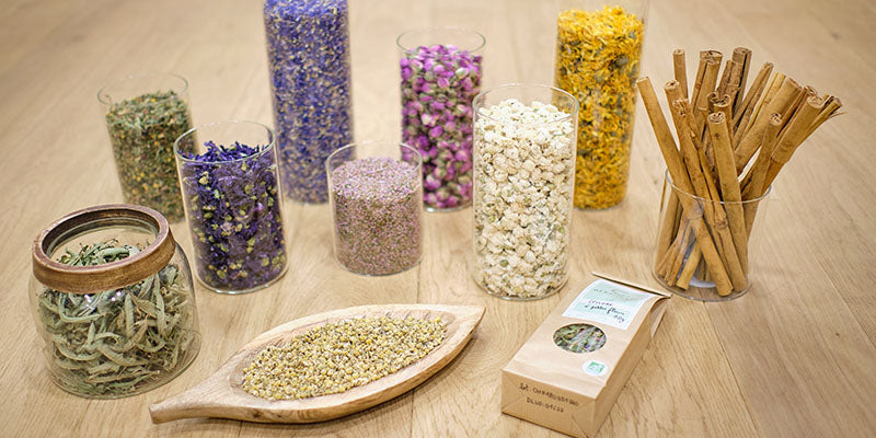 Plantes médicinales et bocaux d’herboristerie Herbonata