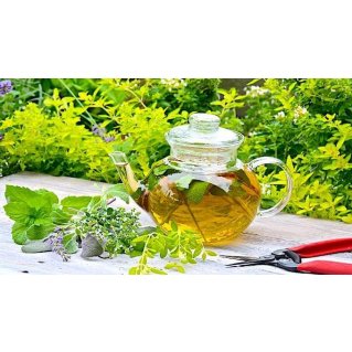 Quand prendre la tisane d’épilobe ?