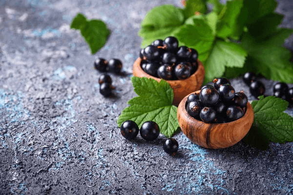 Les bienfaits de la feuille de cassis