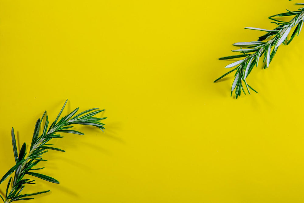 Les bienfaits du thym pour la santé