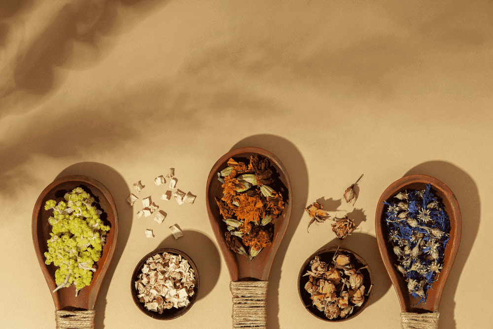 Les vertus des mucilages sur le système intestinal