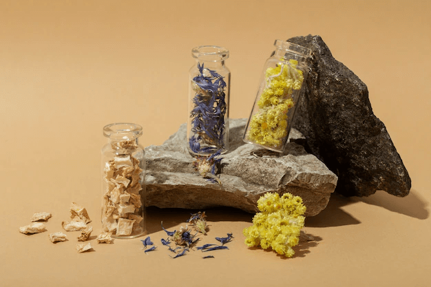 Les plantes sauvages comestibles et leurs vertus