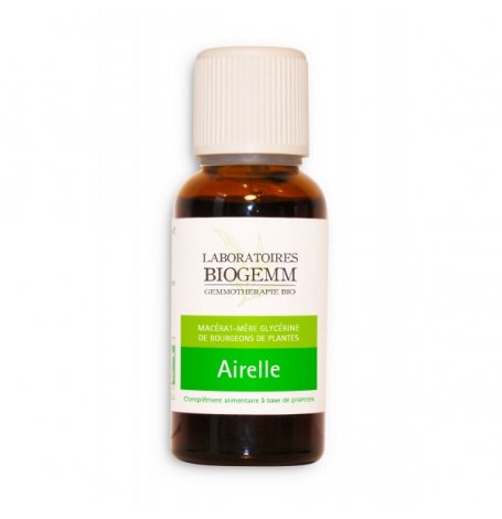 Airelle bourgeon - 30 ml