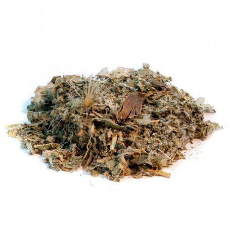 Artichaut - feuille