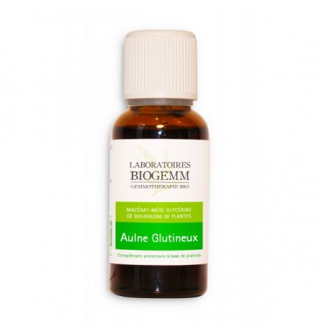 Aulne bourgeon - 30 ml