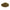 Basilic - feuille