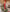 Bougies flambeaux - Rouge Noel