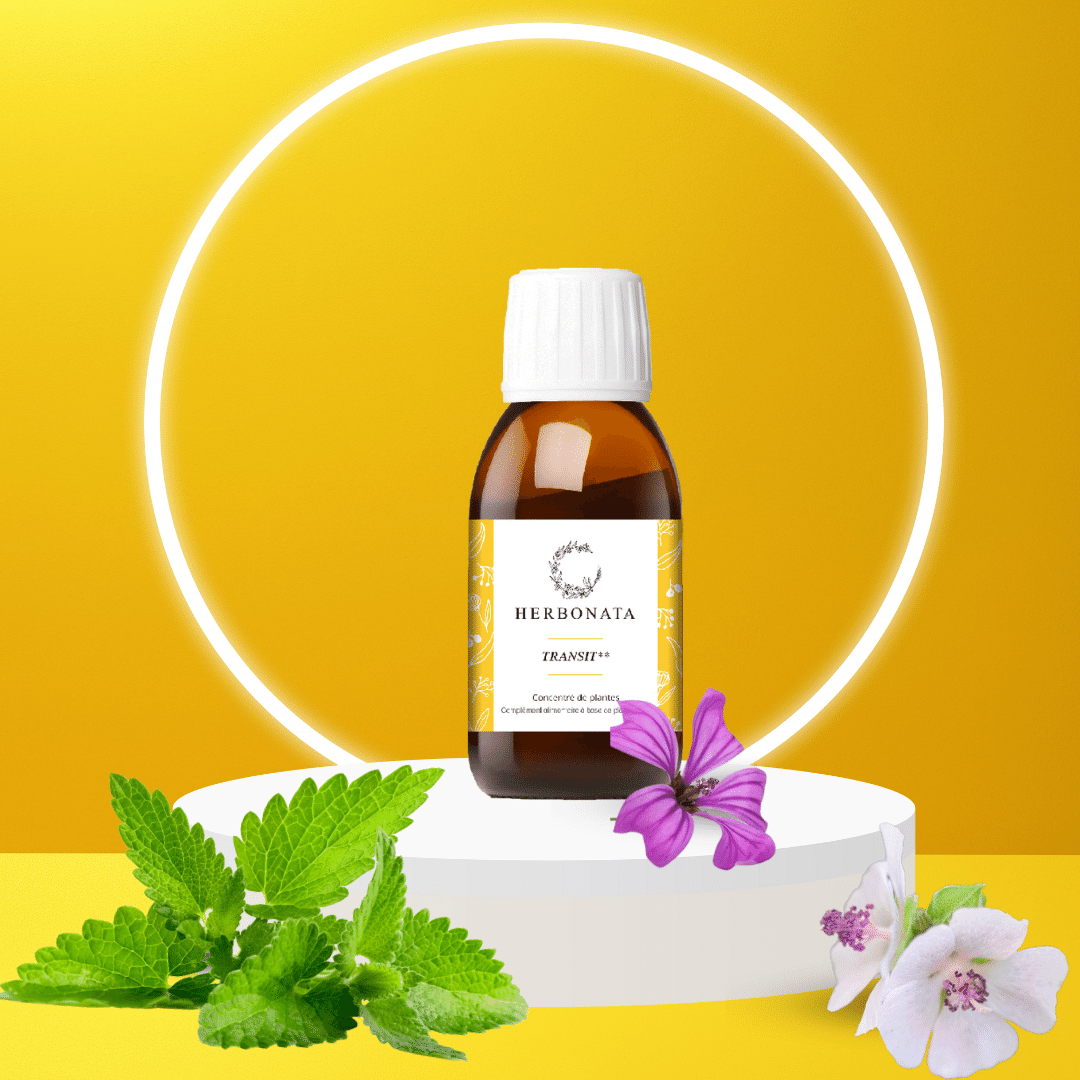 Concentré Transit Bio - 100ml