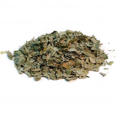 Desmodium - feuille