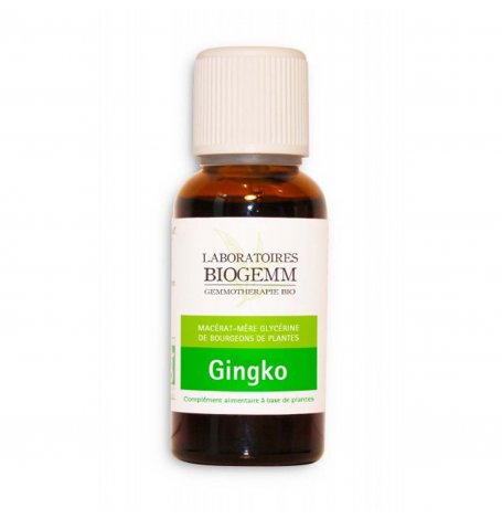 Ginkgo bourgeon - 30 ml