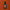 Green Flash Terracotta - 15ml
