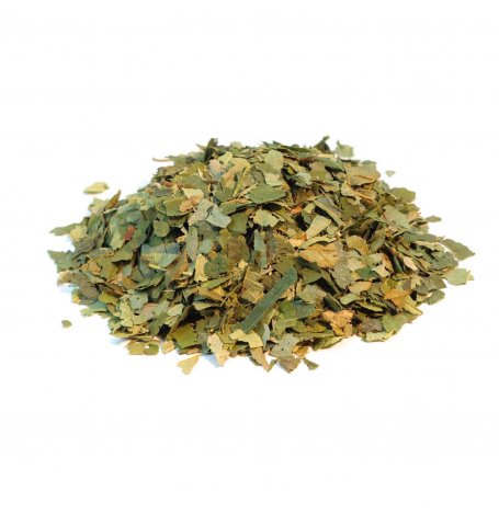 Hamamelis - feuille