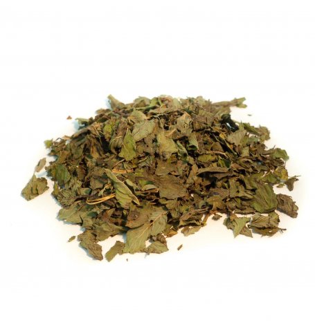 Menthe poivrée - feuille