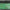 Savon Noir à l'Huile d'Olive - 180 g