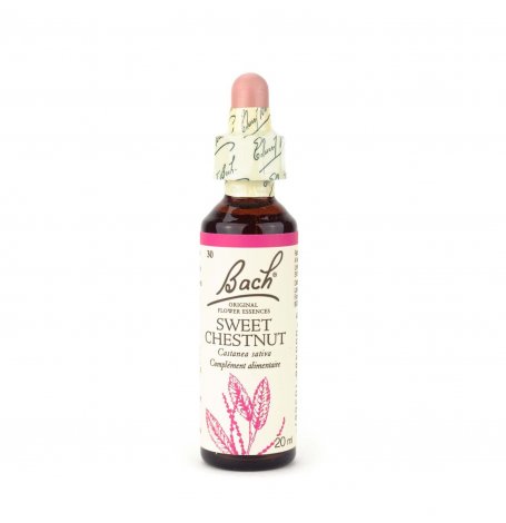 Sweet Chestnut Bach - 20 ml
