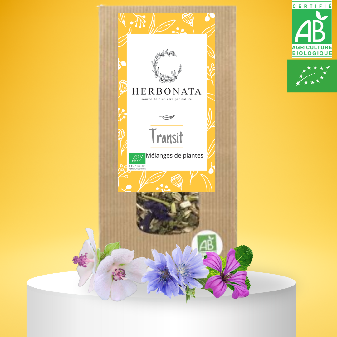 Tisane Transit