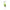 Tube Argile Verte - 400g